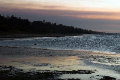 lake at sunset 2