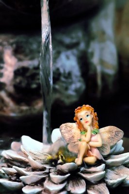 Fairy in the pond ~