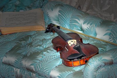 Violin  & music book ~