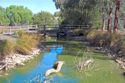 Bridge and creek