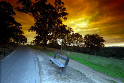 The lone Bench