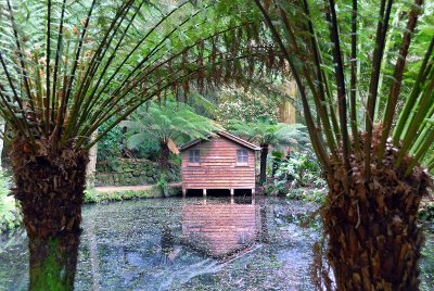Lake hut amongst the ferns ~