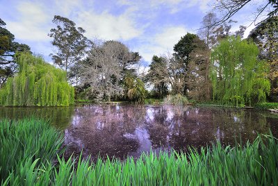 Hues of the Lake