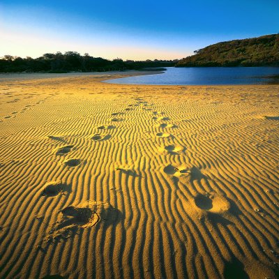 Footsteps in the sand ~