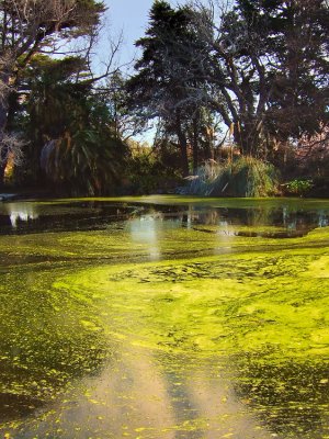 Swirls in the Lake