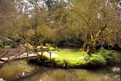 Alfred Nicholas Garden pond