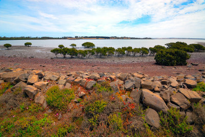 Churchill Island coastline