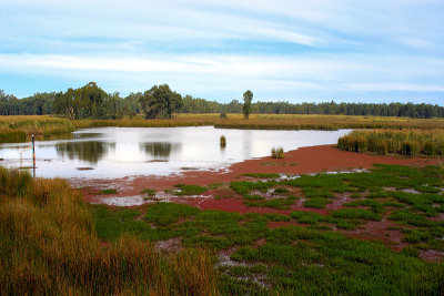 Gulpa Creek Wetlands