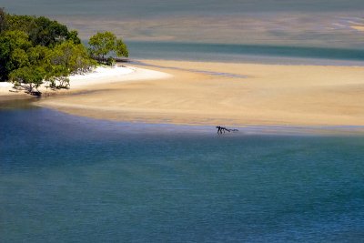 Goat Island sandbank at low tide