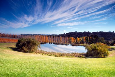 Dam in the yarra valley