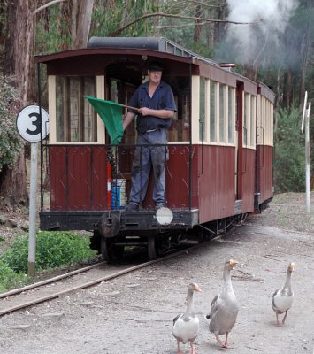 Train Guard and ducks