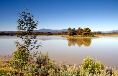 Lake view