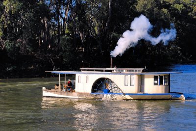 Paddle steamer on the murray