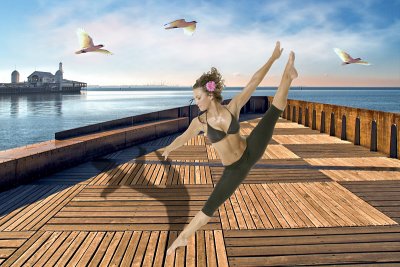 Dancing with seagulls ~*