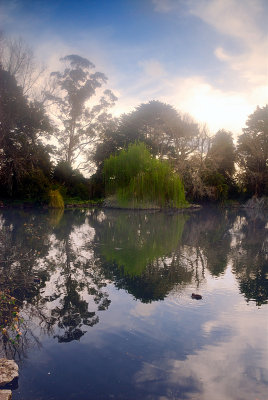 Misty morning on the lake ~