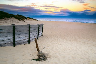 beach sunset