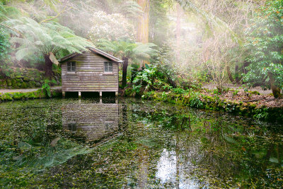 Lake shack in the mist ~