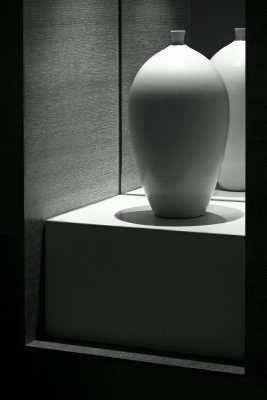 vase in the corner ~