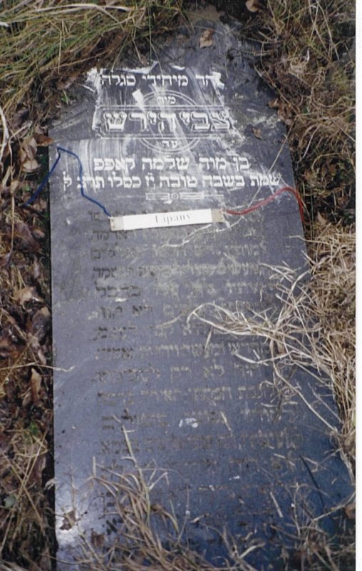 Tzvi Hirsh son of Shlomo KOPP-#072