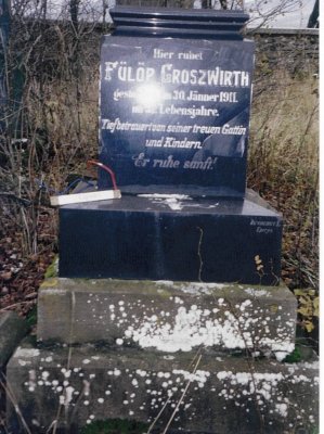 Here rests
Fulop GROSZWIRTH
Died January 1911
37? years of life [difficult to see numbers]
Was mourned with tears by his wife & children
He gently rests!

(This gravestone is in German.  'Google Translate' was used to translate this gravestone)