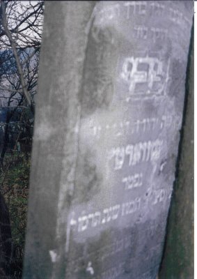 Tzvi son of Yehuda SCHWARTZ
