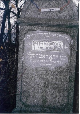 Benjamin son of Yuda ROTH-#67