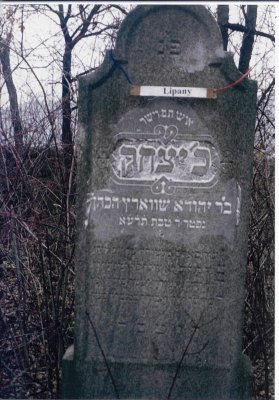 Yitzchak son of Yehuda SCHWARTZ h'Cohen
Died - 4 Tevet 5671(4 January 1911)