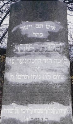 Moshe Yehuda son of David HEITLINGER