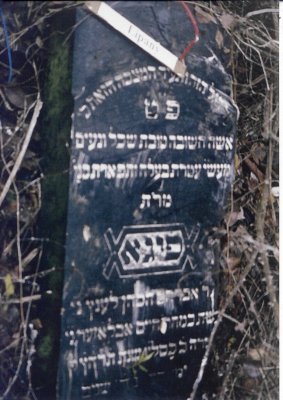 Feiga daughter of R' Avraham h'Cohen LENTZ

(There may be another name on this gravestone, as well.)