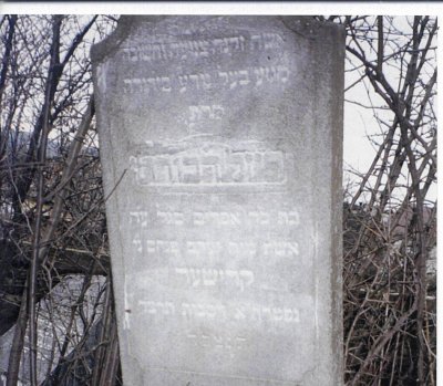 Reizel Devora daughter of R'Efraim SEGAL
wife of Yakov Pinchas KRISCHER
Died: 5624/1864