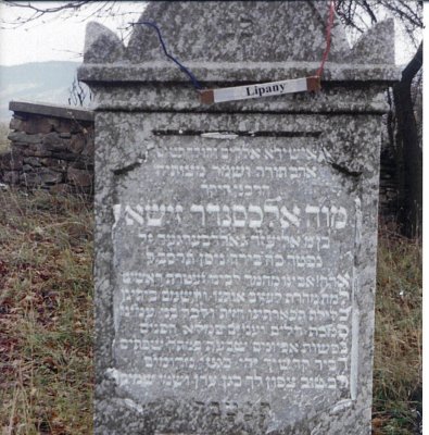 Alexander Zisha son of Eliezer GOLDBERGER

(Acrostic on right side of gravestone using the name 'Alexander' - needs further translation))