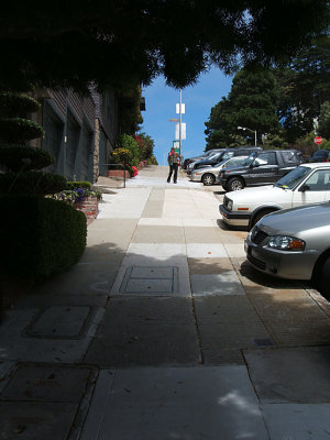 Sandy, Lombard Street, Russian Hill