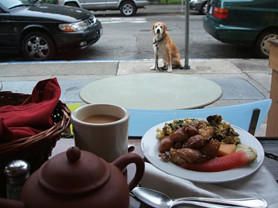 dog wants brunch, Washington Square