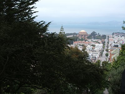 Divisidero Street, Palace of Fine Arts from California Street