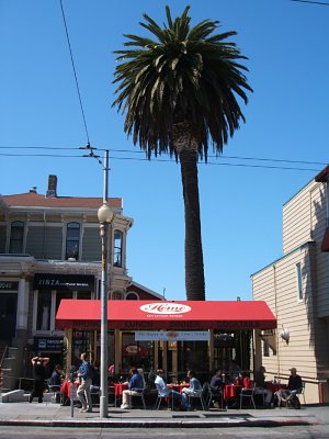 palm tree, Home restaurant, Union Street