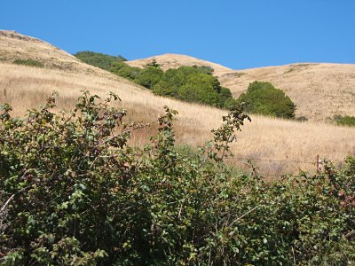 Willow Creek Road, Pomo Canyon
