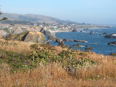 coastline above Bodega Bay