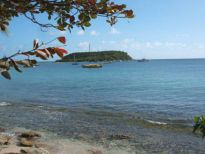 Esperanza harbor