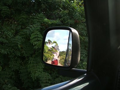 Sandy in rear veiw mirror, investigating plantlife near Playa Grande