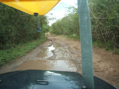 road to Playa Tres Palmitas, Bahia Ferro