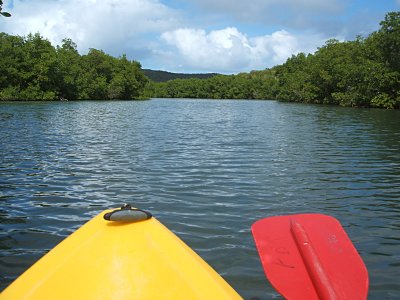 kayaking the backwaters of Bahia Ferro