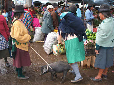 pig at the market