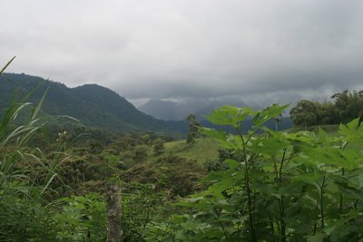 landscape near Mindo