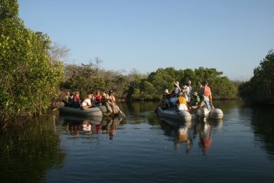 panga party, red mangroves