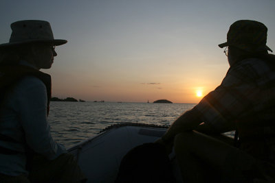 sunset, Elizabeth Bay