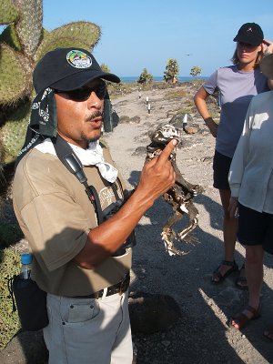 Juan with marine iguana corpse