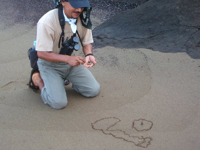 volcanic diagrams, Punta Cormorant