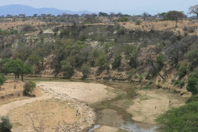 Tarangire River