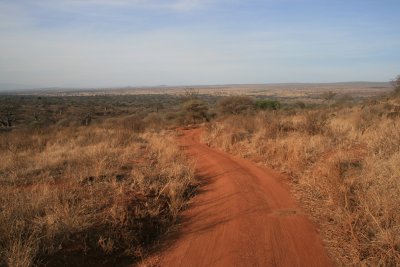 looking back eastward across the park, on the road to Mawa Ninga camp