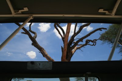 view out the opened roof